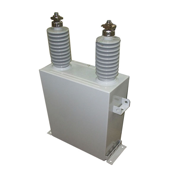 AAM AC filter Power Capacitor